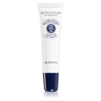 L’Occitane Shea ochranný balzám na rty s bambuckým máslem 12 ml