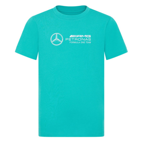 Mercedes AMG Petronas dětské tričko Large Logo green F1 Team 2024 Stichd