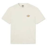 Dickies Icon Washed Tee SS