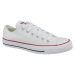 Boty Taylor All Star model 15961805 - CONVERSE