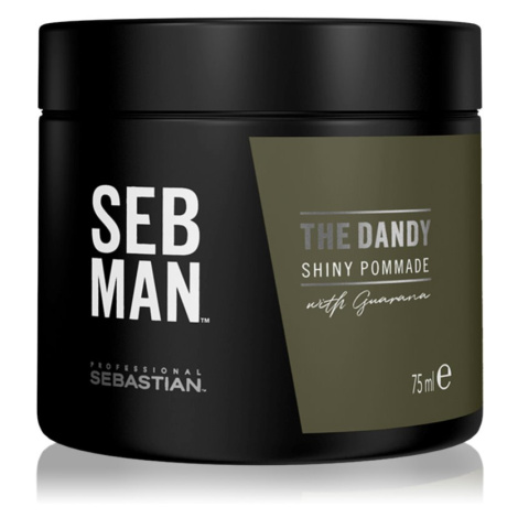 Sebastian Professional SEB MAN The Dandy pomáda na vlasy pro přirozenou fixaci 75 ml