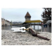Swiss Advance Minitool