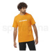 Salomon Logo Performance SS Tee LC2245700 - zinnia