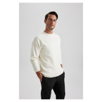 DEFACTO Relax Fit Crew Neck Sweater