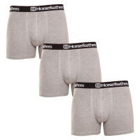 3PACK pánské boxerky Horsefeathers Dynasty heather gray (AM067C)