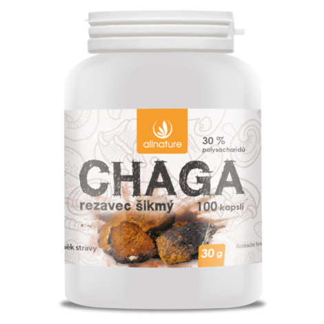 ALLNATURE Chaga 100 tobolek