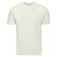 Základní pánské tričko z organické bavlny 160 g/m