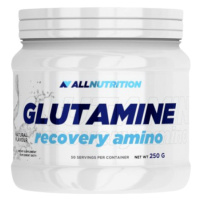 ALLNUTRITION Glutamine Recovery Amino 500 g pomeranč