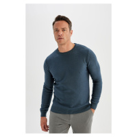 DEFACTO Standard Fit Crew Neck Sweater