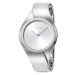 Calvin Klein 2468CAK169 dámské hodinky