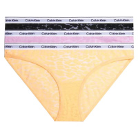 Calvin Klein 3 PACK - dámské kalhotky Bikini QD5069E-GP9