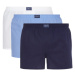 Polo Ralph Lauren M boxerky 714610864001