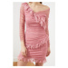 Trendyol Rose Dry Lace Detailed Tulle Dress