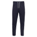 TEPLÁKY GANT D1. 13 STRIPES SWEAT PANTS modrá