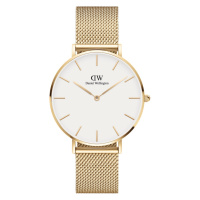 Daniel Wellington Petite 36 Evergold G White DW00100346