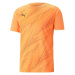 Puma INDIVIDUALRISE GRAPHIC TEE Pánské triko, oranžová, velikost