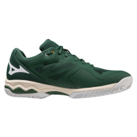 Mizuno WAVE EXCEED LIGHT CC Pánská běžecká obuv, zelená, velikost 41