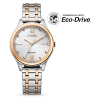 Citizen Eco-Drive Classic EM0506-77A