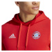 Adidas FC Bayern Dna Hoodie M HY3291 pánské