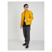 Žlutá pánská prošívaná zimní bunda Pepe Jeans Jack
