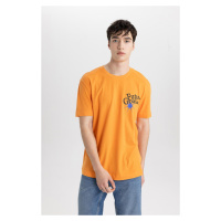 DEFACTO Regular Fit Crew Neck Printed Short Sleeve T-Shirt