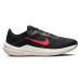 Nike Winflo 10