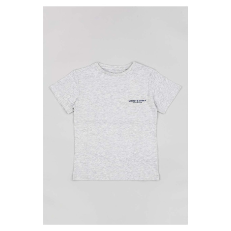 Dětské bavlněné tričko zippy šedá barva, s potiskem