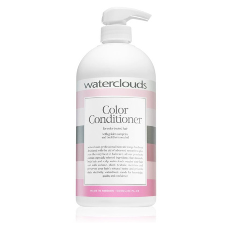Waterclouds Color Conditioner hydratační kondicionér na ochranu barvy 1000 ml