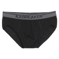 Pánské slipy Icebreaker Mens Anatomica Briefs