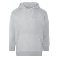 Ecologie Dámská mikina s kapucí EA042 Heather Grey