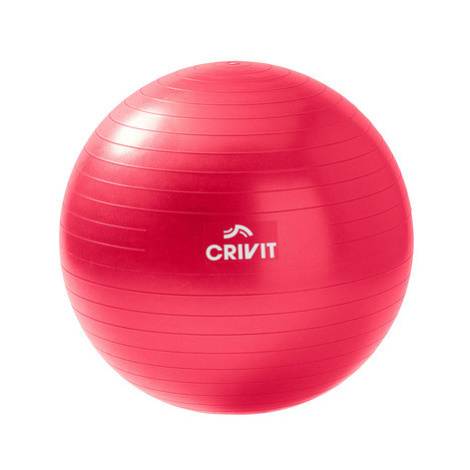 CRIVIT Gymnastický míč (55 cm)