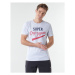 Superdry COLLEGIATE GRAPHIC TEE 185 Šedá