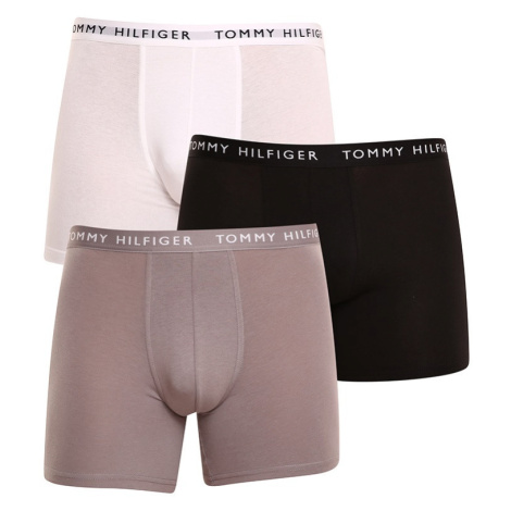 3PACK pánské boxerky Tommy Hilfiger vícebarevné (UM0UM02204 0TG)