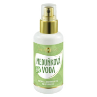 Meduňková voda Bio Purity Vision 100 ml (PURV106)