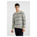 DEFACTO Standard Fit Crew Neck Sweater