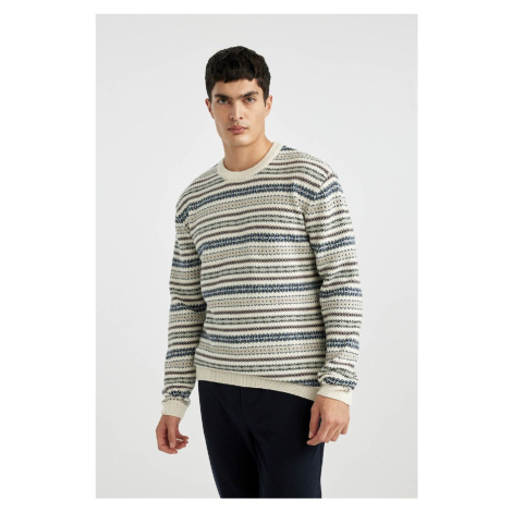 DEFACTO Standard Fit Regular Cut Crew Neck Patterned Knitwear Sweater