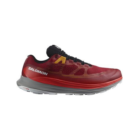 Salomon Ultra Glide 2 GTX Bird/Frstgy/Turm EU 42 / 260 mm