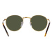 Sluneční brýle Ray-Ban NEW ROUND zlatá barva, 0RB3637