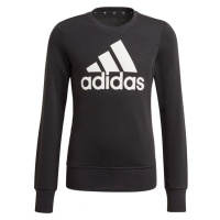 Dětská mikina Essentials Big Logo Jr GP0040 - Adidas