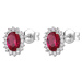 Brosway Elegantní stříbrné náušnice Fancy Passion Ruby FPR15