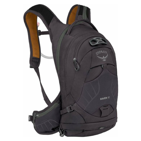 Osprey Raven 10 Space Travel Grey Batoh