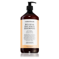 Waterclouds Relieve Balance Shampoo šampon pro mastné vlasy 1000 ml