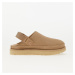 UGG W Goldenstar Clog Driftwood