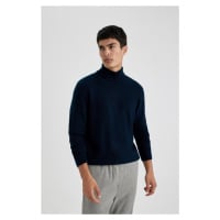 DEFACTO Standard Fit Turtleneck Sweater