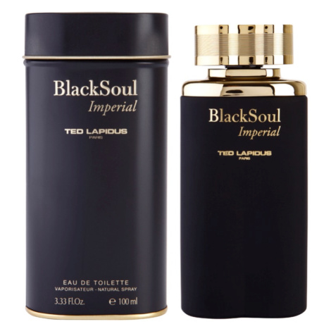 Ted Lapidus Black Soul Imperial toaletní voda pro muže 100 ml