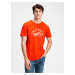 GAP oranžové pánské tričko v-cali moto