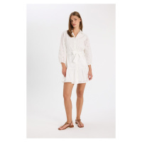 DEFACTO Shirt Collar Embroidered Long Sleeve Mini Dress