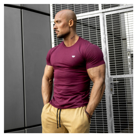 Pánské fitness tričko Iron Aesthetics Standard, bordové