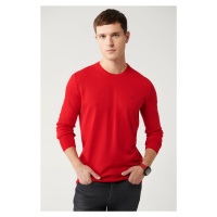Avva Men's Red Knitwear Sweater Crew Neck Anti-Pilling Regular Fit