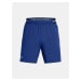 Pánské kraťasy Under Armour UA Vanish Woven 6in Shorts